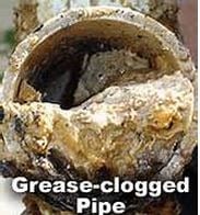 Slide of Timber Wolff's Plumbing