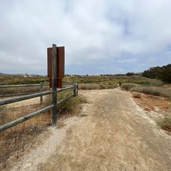 Dust Devil Trail