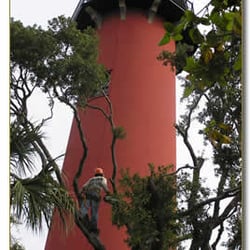 Only Trees - Trimming at the Historical Jupiter Lighthouse