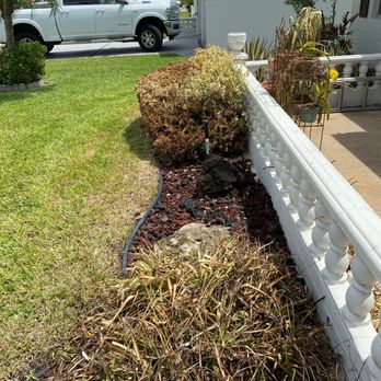 Hulett Environmental Services - Other dead landscaping in the front of my home - Pest Control Near Me - West Palm Beach, Florida