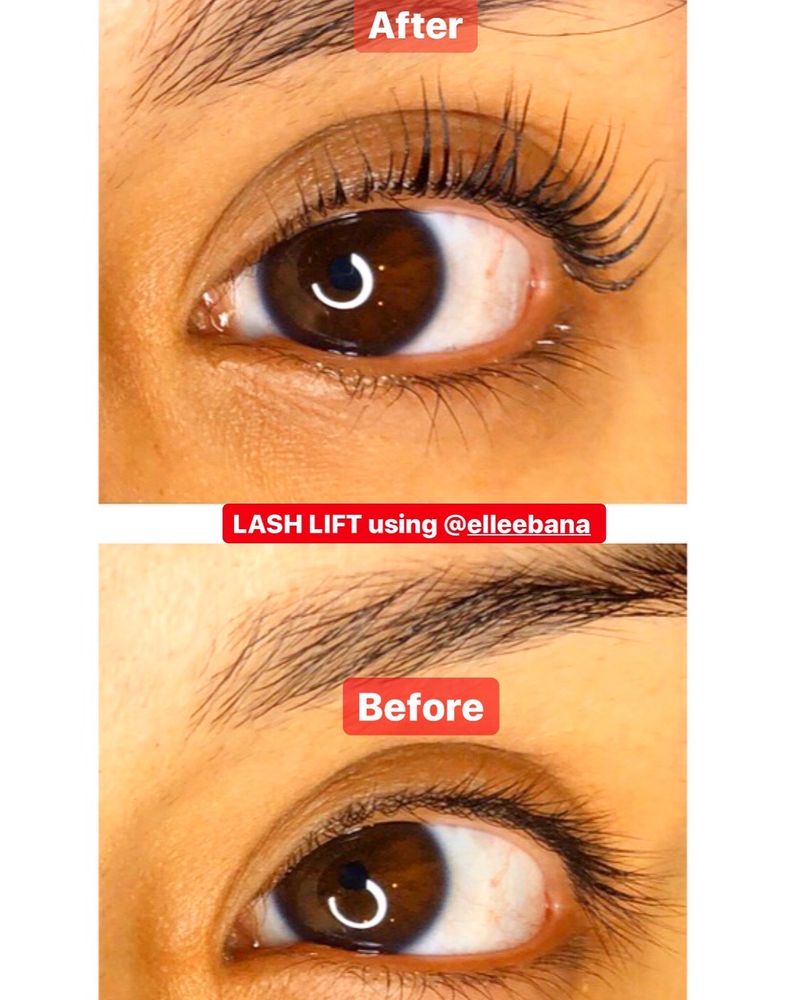 Lash Artistry Logo