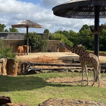Caldwell Zoo - Zoos Near Me - Tyler, Texas Caldwell Zoo - Zoos Near Me - Tyler, Texas