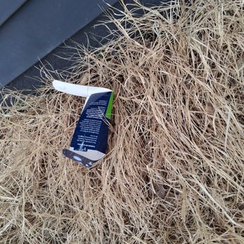 Simple Care - More trash - Tree Services Near Me
