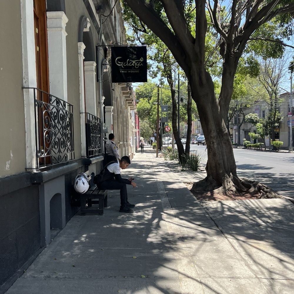 Galanga - Thai Near Me - Ciudad de México, DIF