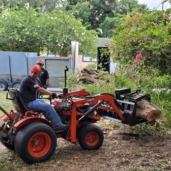 IronHead Tree Service - Tree Services Near Me - Lakeland, Florida IronHead Tree Service - Tree Services Near Me - Lakeland, Florida