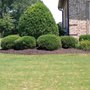 R&J's Lawncare