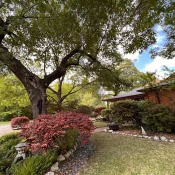 Lorenzo’s Tree Services - Tree Services Near Me Lorenzo’s Tree Services - Tree Services Near Me