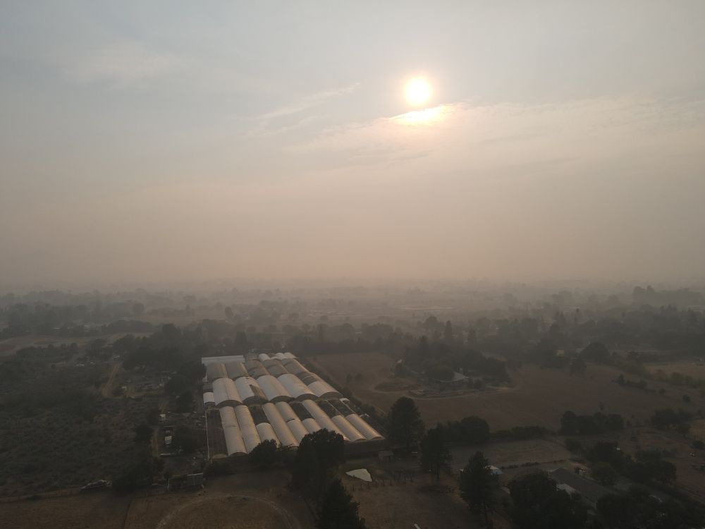 Slide of Real Roofing