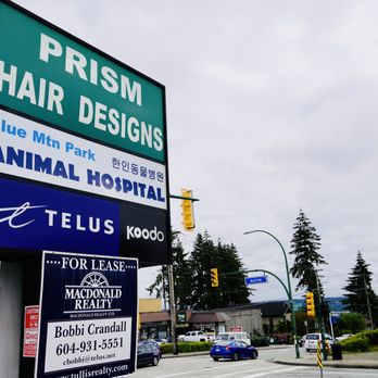 Telus - Open Connection - Mobile Phones Near Me - Coquitlam, British Columbia