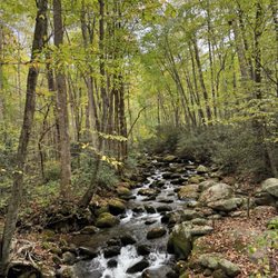 Roaring Fork Motor Nature Trail - Views