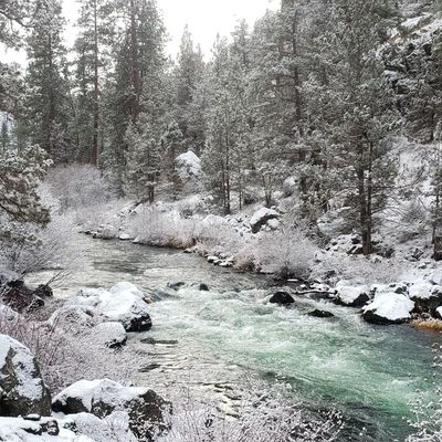 Tumalo State Park by null