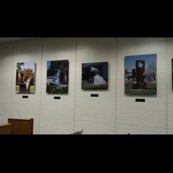 Paramount Outdoor Art Museum - Photos of sculpture in Paramount displayed in City Hall