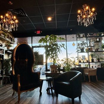 Curiouser Coffee & Elixers - Coffee & Tea Near Me - Eagan, Minnesota