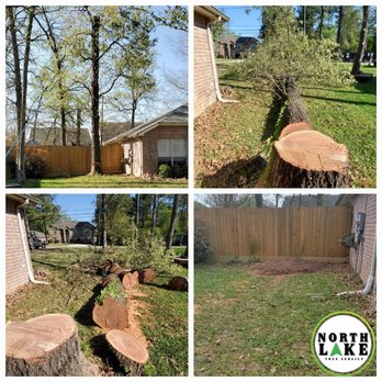 North Lake Tree Service - Tree Services Near Me