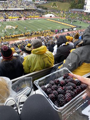 Kidd Brewer Stadium by null