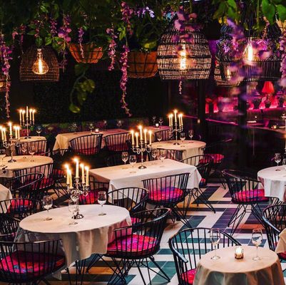 Mandrake Miami by null