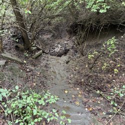 George Owens Nature Park