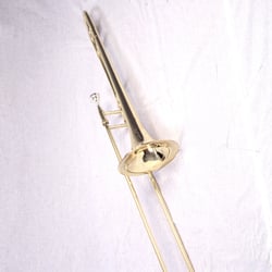 Musicians Brass and Woodwind