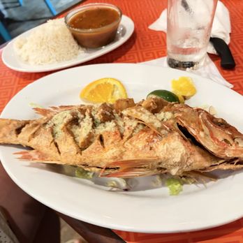 Dinghy Dock - Whole snapper - Caribbean Near Me - Culebra, Puerto Rico Dinghy Dock - Whole snapper - Caribbean Near Me - Culebra, Puerto Rico