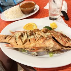 Dinghy Dock - Whole snapper