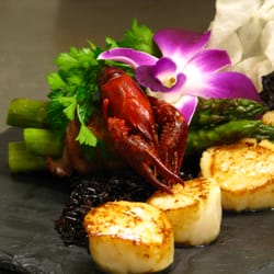 Umami
