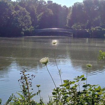 Central Park Conservancy - Parks Near Me - New York, New York