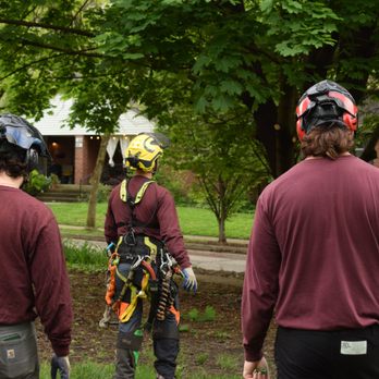 Nova Tree Care - A certified arborist leads the team in a morning huddle and examination of site. - Tree Services Near Me - Indianapolis, Indiana Nova Tree Care - A certified arborist leads the team in a morning huddle and examination of site. - Tree Services Near Me - Indianapolis, Indiana
