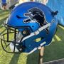 Photo of Detroit Lions