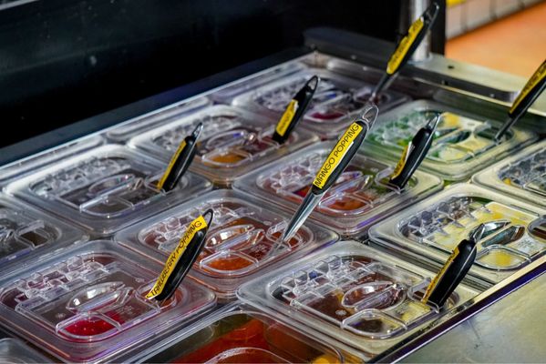 Honeybee Boba Cafe by null