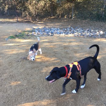 Cipriani Dog Park - Dog Parks Near Me - Belmont, California Cipriani Dog Park - Dog Parks Near Me - Belmont, California