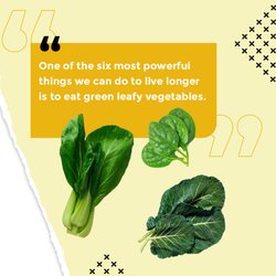 CustomCare Nutrition