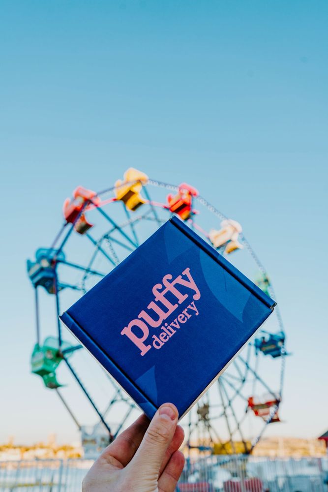 PUFFY DELIVERY CLOSED Updated May 2024 20 Photos & 48 Reviews Yelp