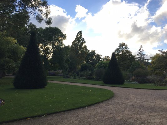 Oxford Botanic Garden by null