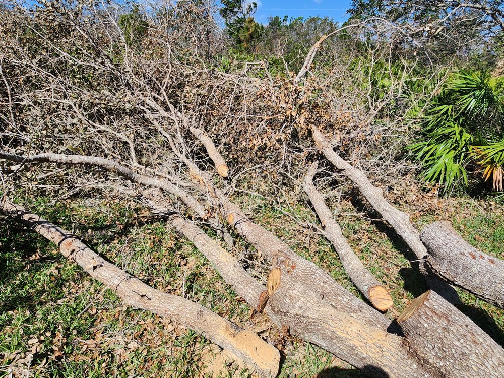 Slide of CHDO by Sunrise City