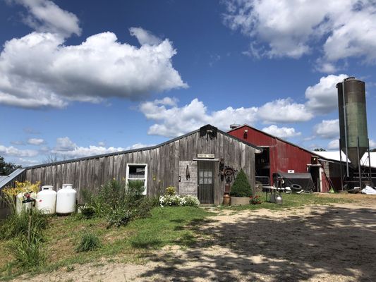 Cato Corner Farm by null