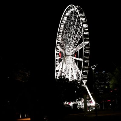 The Wheel of Brisbane by null