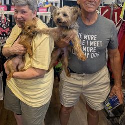 Animal Aid - Another adoption