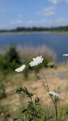 Druid Hill Park by null