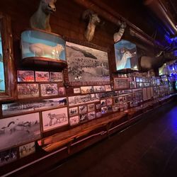 Taxidermy mounts and historic photos