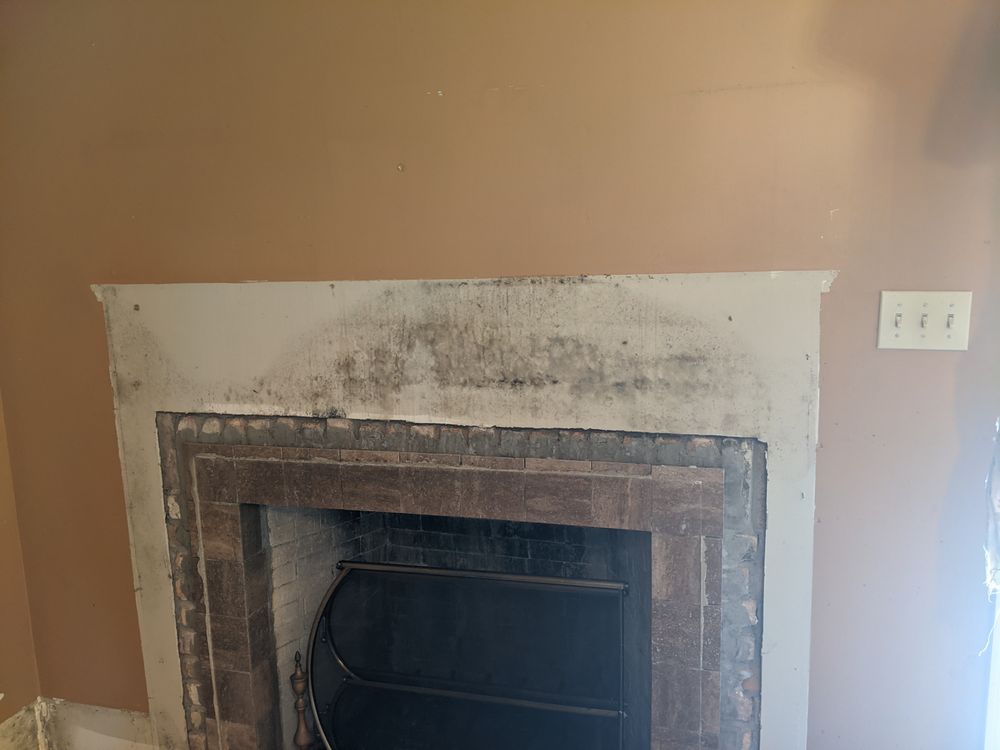 Crystal Coast Mold Pros - mold inspector in Richlands, NC