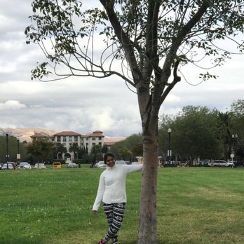 Moitozo Park - Parks Near Me - San Jose, California