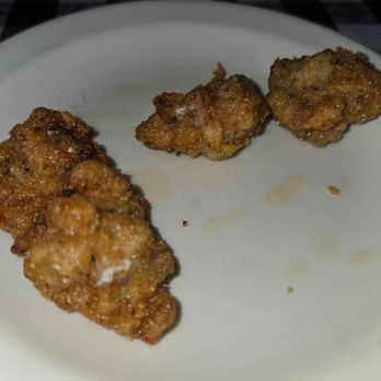 Fat Willie's Fish Camp - Gator bites - Seafood Near Me - Valrico, Florida Fat Willie's Fish Camp - Gator bites - Seafood Near Me - Valrico, Florida