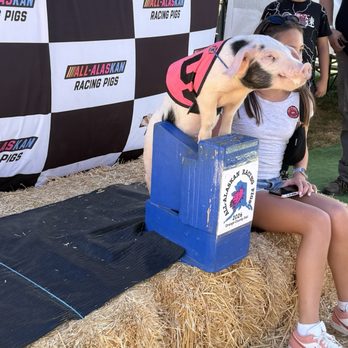 OC Fair & Event Center - Picture taking opportunities after the Pig Races - Festivals Near Me - Costa Mesa, California OC Fair & Event Center - Picture taking opportunities after the Pig Races - Festivals Near Me - Costa Mesa, California