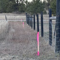 Essex Surveying - Requested line of sight staking.