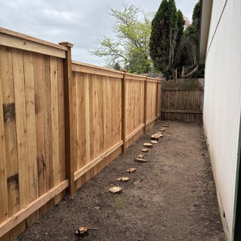 Lainez R Tree Service - After- arborvitae were removed - Tree Services Near Me Lainez R Tree Service - After- arborvitae were removed - Tree Services Near Me