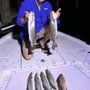 Photo of DarkNite Charters