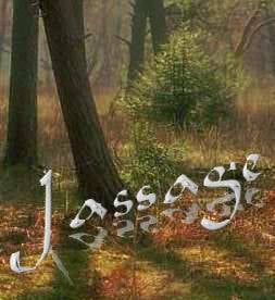 Jassage Logo