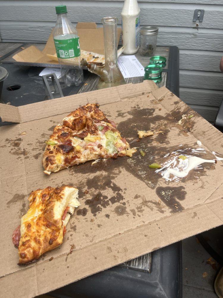 Domino's Pizza Logo