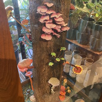 Pueblo - Art display - Nurseries & Gardening Near Me - Phoenix, Arizona