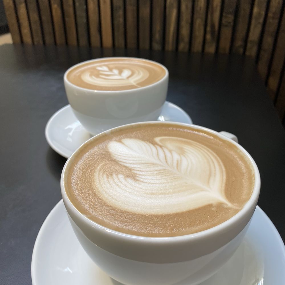 Tala Coffee Roasters - Mocha latte - Coffee Roasteries Near Me - Libertyville, Illinois Tala Coffee Roasters - Mocha latte - Coffee Roasteries Near Me - Libertyville, Illinois